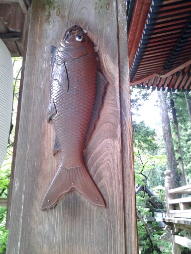 谷汲山の精進落としの鯉